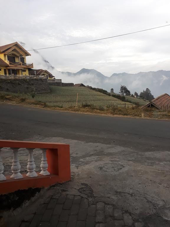 Sedulur Homestay Bromo Exteriér fotografie
