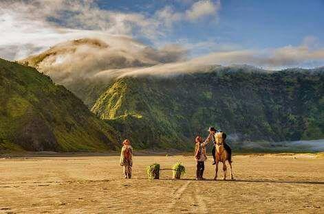 Sedulur Homestay Bromo Exteriér fotografie