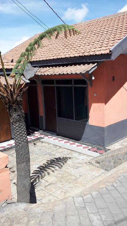 Sedulur Homestay Bromo Exteriér fotografie